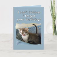 Crazy Kitten Belated Geburtstag