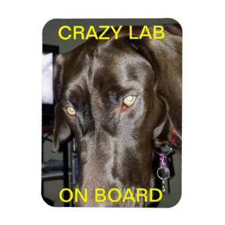 Crazy Labrador auf Board Magnet