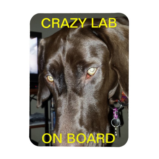 Crazy Labrador auf Board Magnet (Vertikal)
