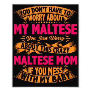 Crazy Maltese Mama Fotodruck