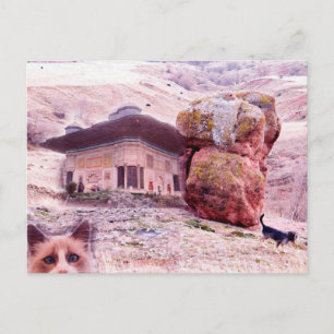 Crazy Postcard Dog Cat Funny Collage Postkarte