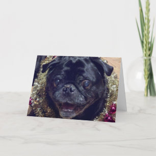Crazy Pug Christmas Card Feiertagskarte