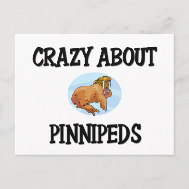 Crazy über Pinnipeds Postkarte (Vorderseite)