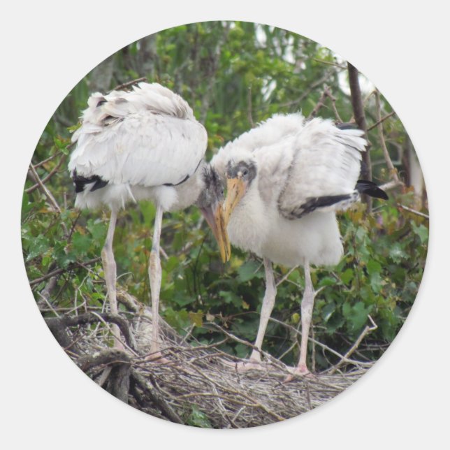 Crazy Wood Stork Stickers (Vorderseite)