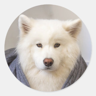 CRB - Gemütlicher Bär Runder Aufkleber