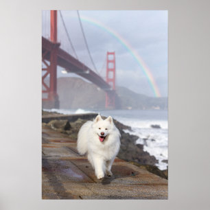CRB Regenbogenbrücke Poster