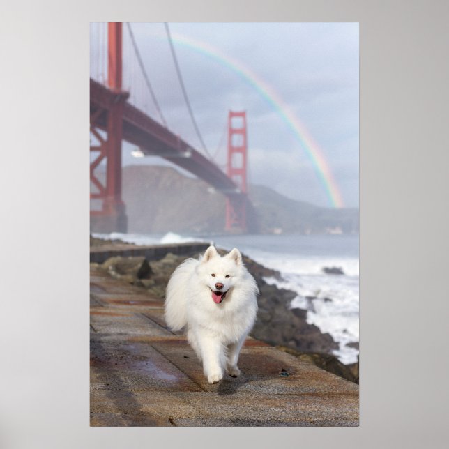 CRB Regenbogenbrücke Poster (Vorne)