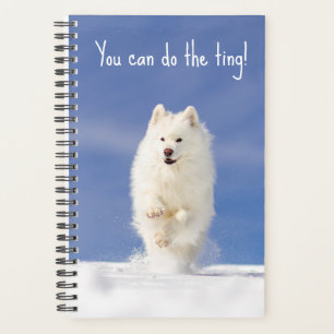 CRB Snow Bear Planer
