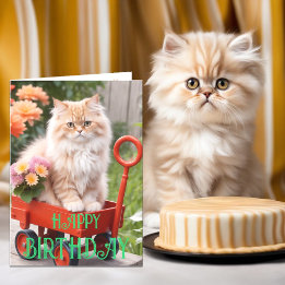 Cream and Ginger Tabby Cat in Red Wagon Geburtstag Karte