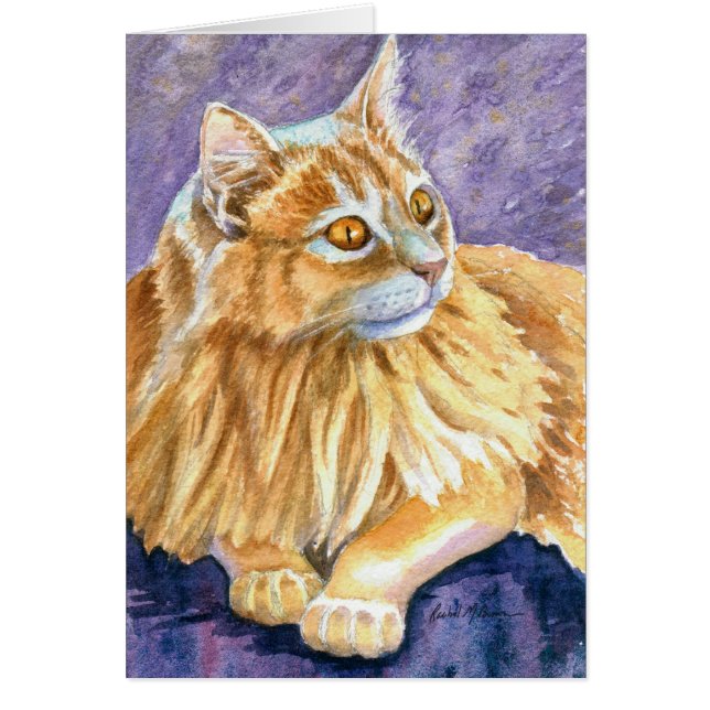 Cream Angora Cat (Vorne)