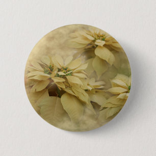 Cream Colored Poinsettias Digitale Kunst Button