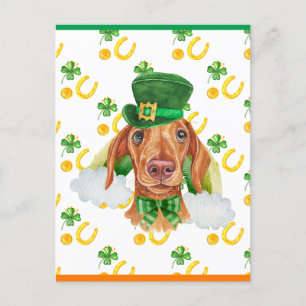 Cream Dachshund Hund Shamrock St. Patricks Tag Feiertagspostkarte