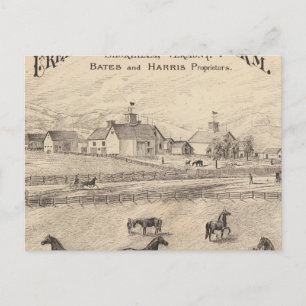 Cream Hill Stock Farm von Shoreham Vermont Postkarte