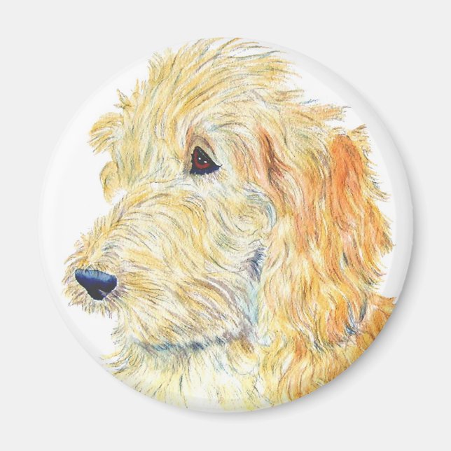 Cream Labradoodle Magnet (Vorne)