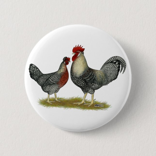 Cream Legbar Chickens Button (Vorderseite)