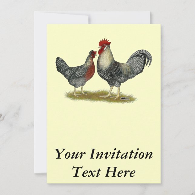 Cream Legbar Chickens Einladung (Vorderseite)