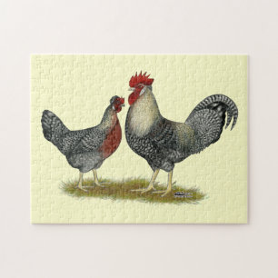 Cream Legbar Chickens Puzzle