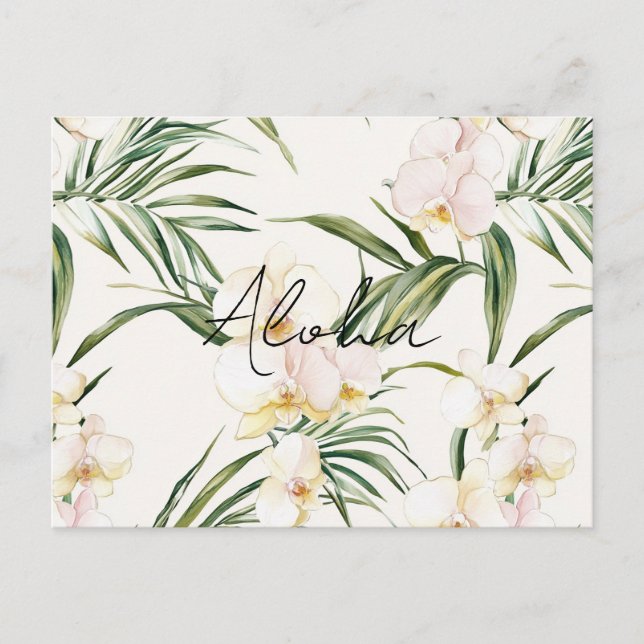 Cream Orchid Blume Aloha Postkarte (Vorderseite)