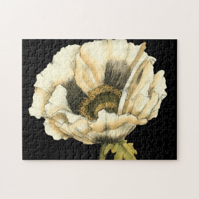 Cream Poppy Blume im schwarzen Hintergrund Puzzle (Horizontal)