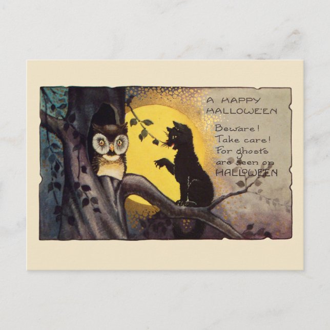 Cream Vintage Cat Warning Owl Spooky Halloween Postkarte (Vorderseite)