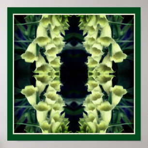 Creamy Foxglove Blume Mirror Abstrakt Poster