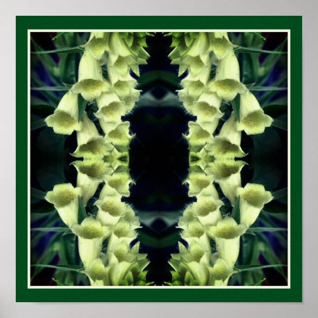 Creamy Foxglove Blume Mirror Abstrakt Poster (Vorne)