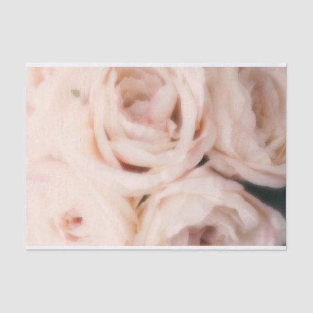 Creamy Soft Blush Pink Roses Elegante Hochzeit Seidenpapier (Vorderseite)
