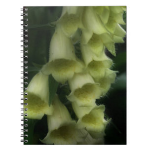 Creamy White Foxglove Blume Notizblock