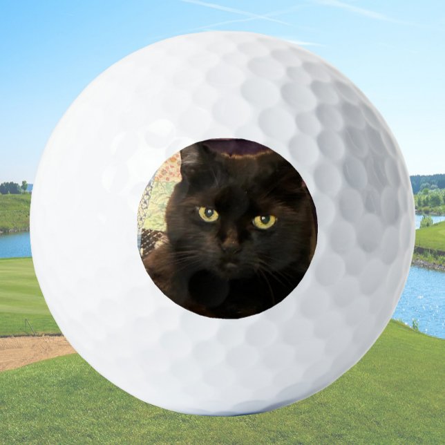 Create Your Own Custom Cat Pet Photo Golfball (Von Creator hochgeladen)