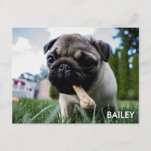 Create Your Own Custom Photo Postkarte