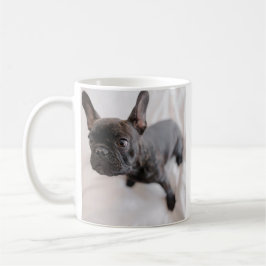 Create Your Own Pet Photo  Kaffeetasse