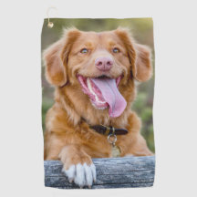 Create your Own Photo