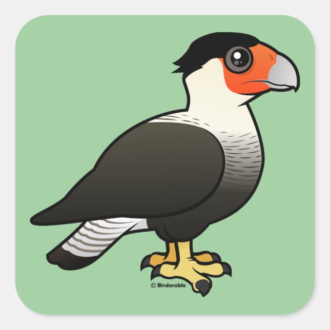 Created Caracara Quadratischer Aufkleber (Vorderseite)