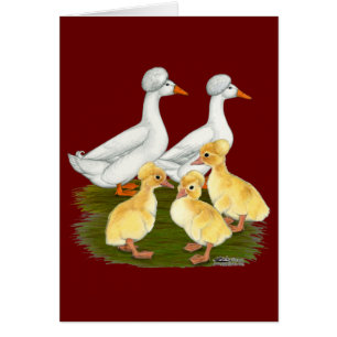 Created Duck Family