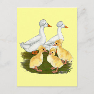 Created Duck Family Postkarte