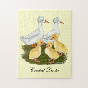 Created Duck Family Puzzle