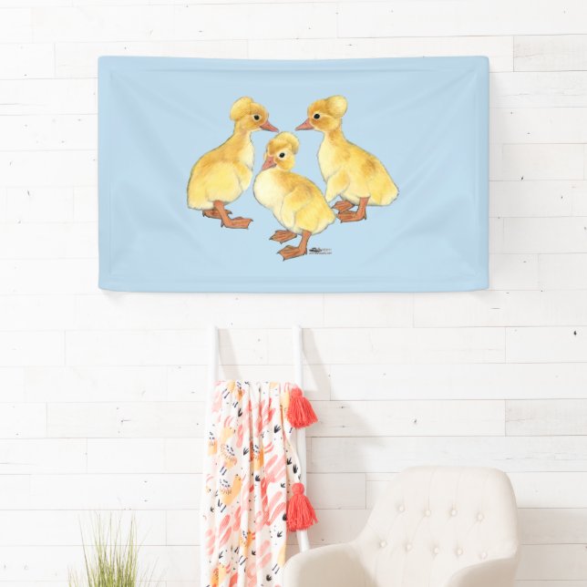Created White Ducklings Banner (Insitu)