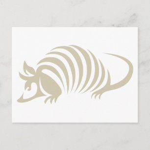 Creative Armadillo Illustration Postkarte