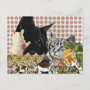 Creative Cats Postcard Postkarte