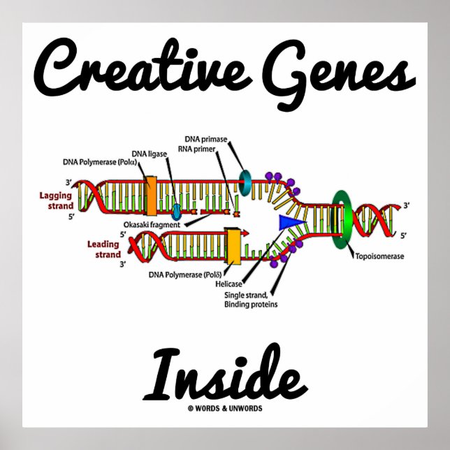 Creative Genes Inside (DNA-Replikation) Poster (Vorne)