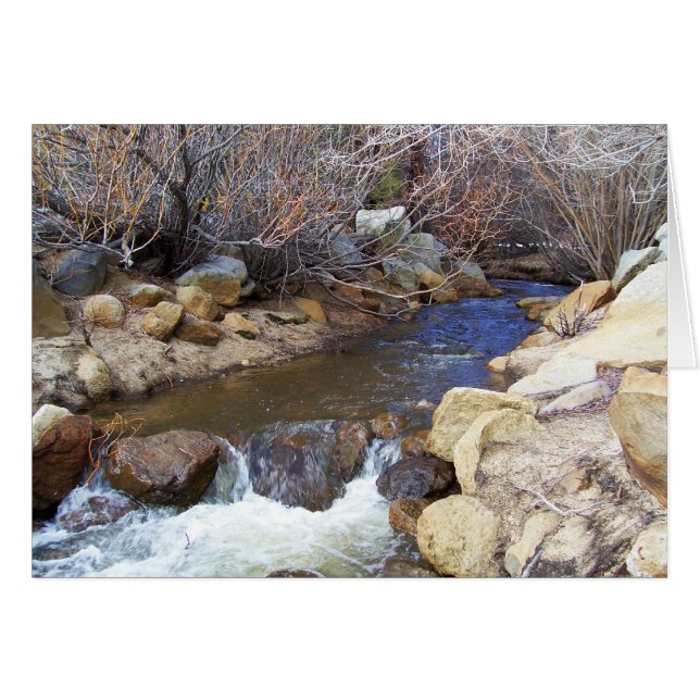 Creek (Vorderseite (Horizontal))