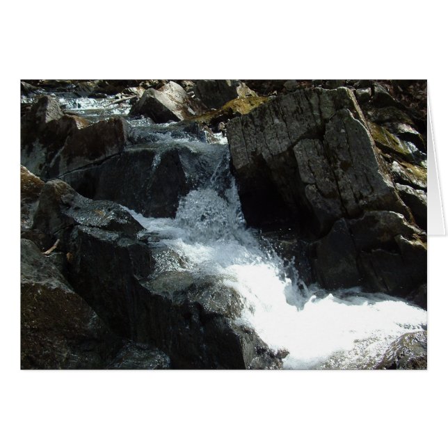 Creek 2 (Vorderseite (Horizontal))