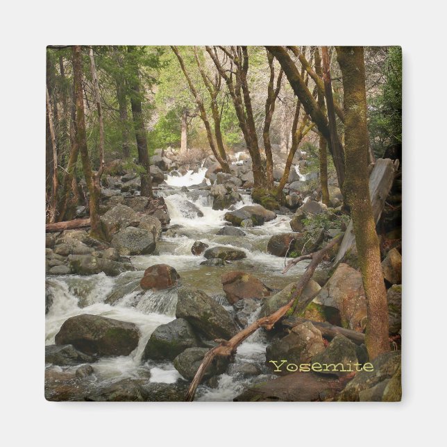 Creek at Bridal Veil Falls, Yosemite Magnet (Vorne)