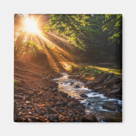 Creek Bank Sunrise Magnet
