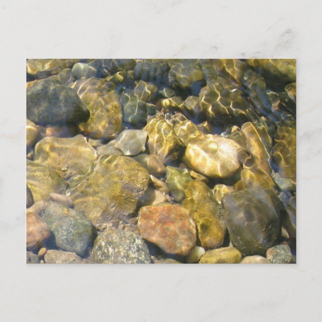 Creek Bed Postcard Postkarte (Vorderseite)