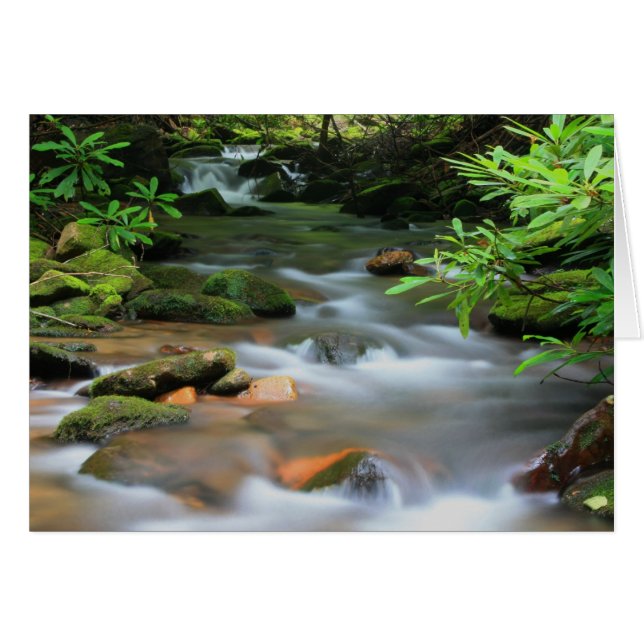 Creek Card (Vorderseite (Horizontal))
