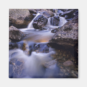 Creek Falls near Steamboat Springs Colorado Magnet