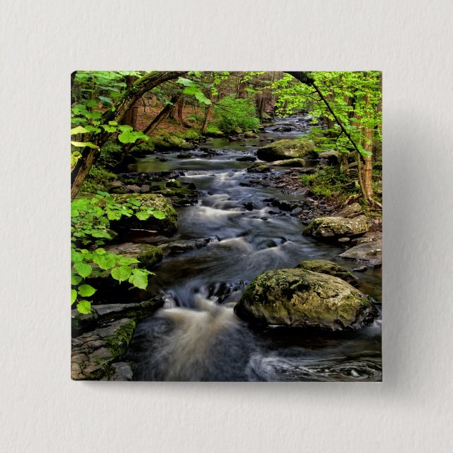 Creek fließt durch Wald Button (Vorderseite)