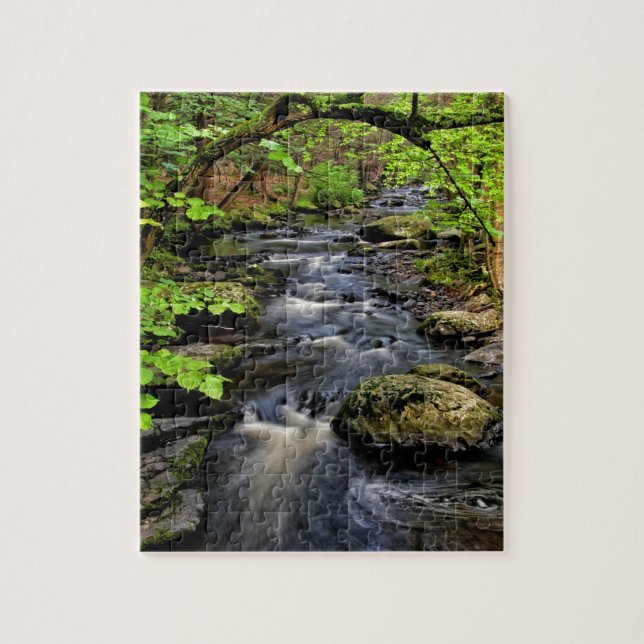 Creek fließt durch Wald Puzzle (Vertikal)