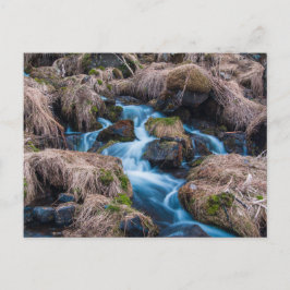 Creek im Eisland Postkarte